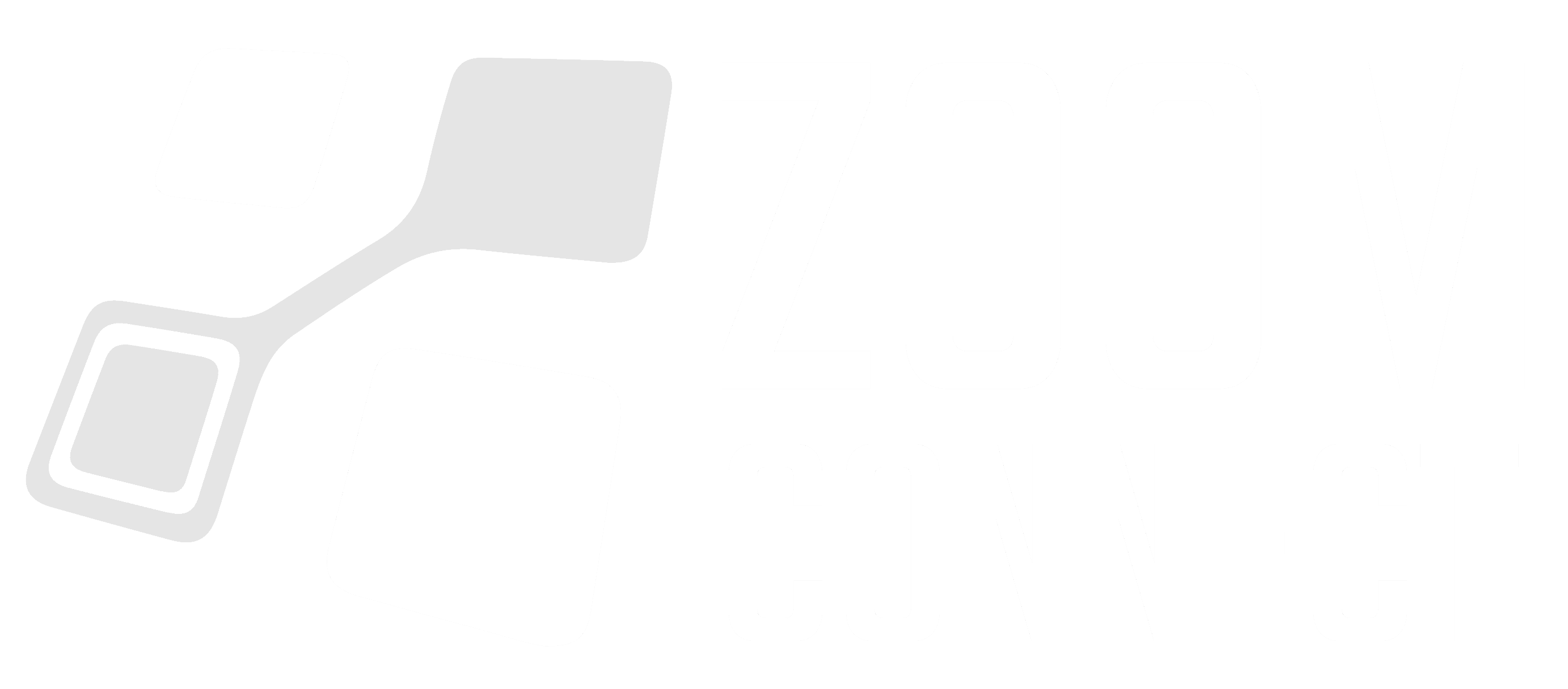 Zoom Connect